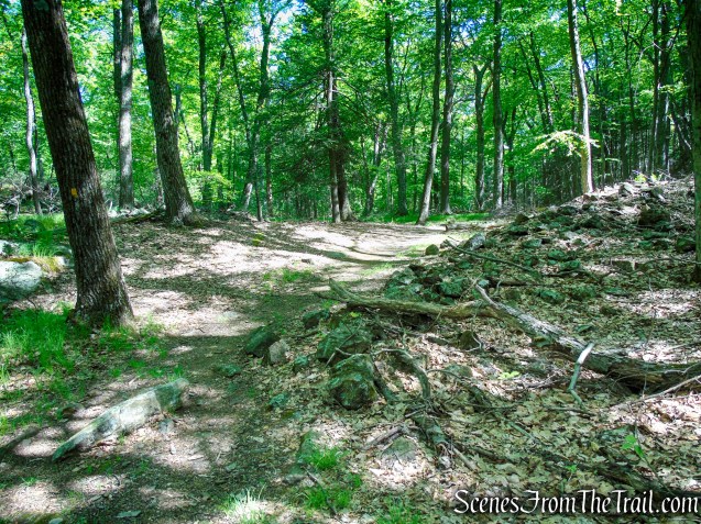 Dunning Trail - Harriman State Park 