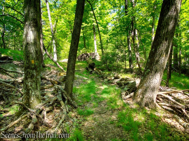 Dunning Trail - Harriman State Park