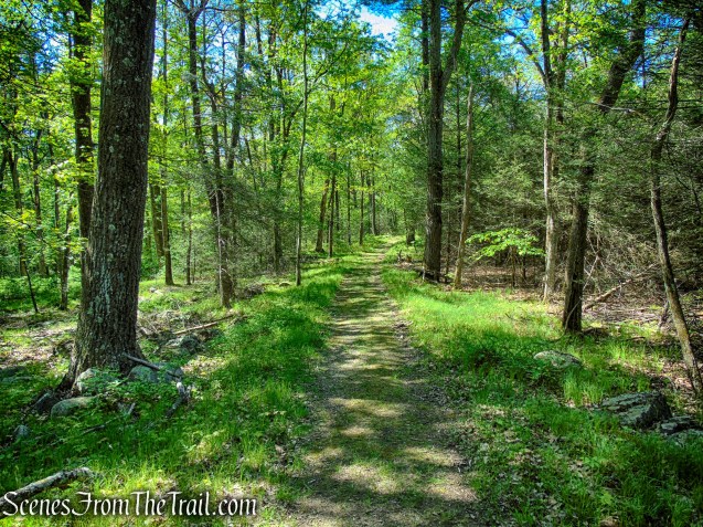 Island Pond Road - Harriman State Park