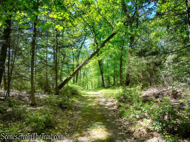 Island Pond Road - Harriman State Park