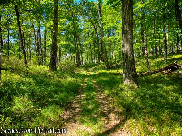 Island Pond Road - Harriman State Park
