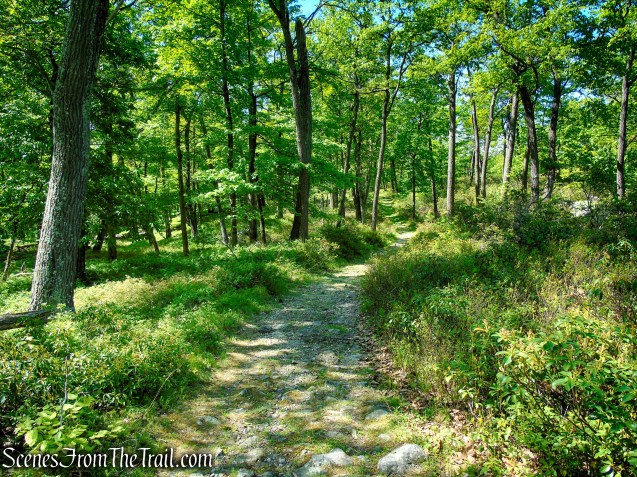 Island Pond Road - Harriman State Park