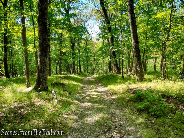 Island Pond Road - Harriman State Park