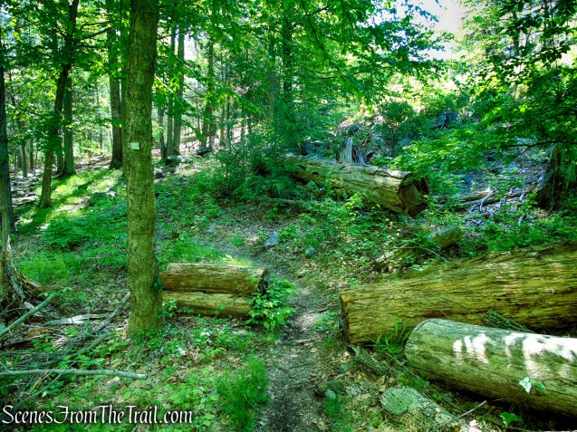 White Bar Trail - Harriman State Park