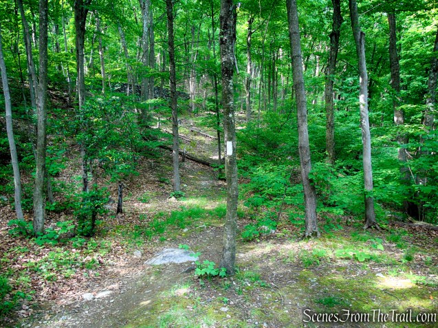 Appalachian Trail