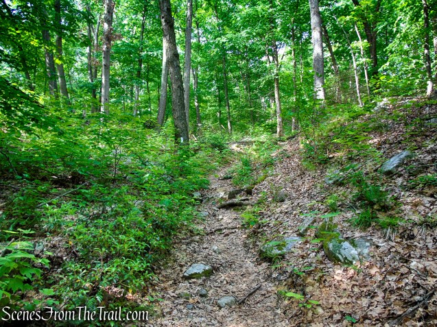 Appalachian Trail