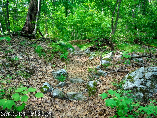Appalachian Trail