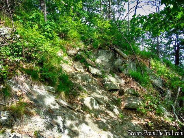 Appalachian Trail