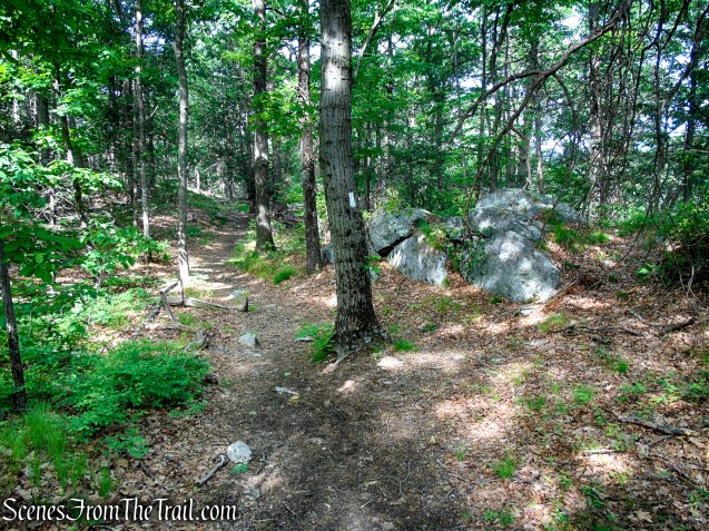 Appalachian Trail