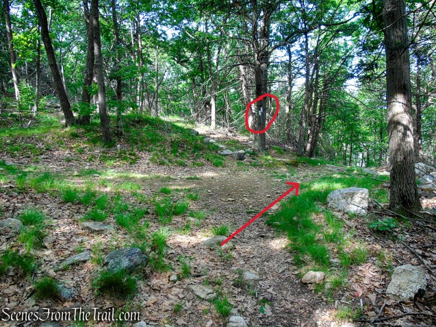 Turn right on Appalachian Trail