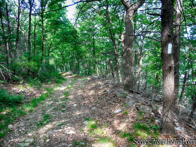 Appalachian Trail - Anthony’s Nose