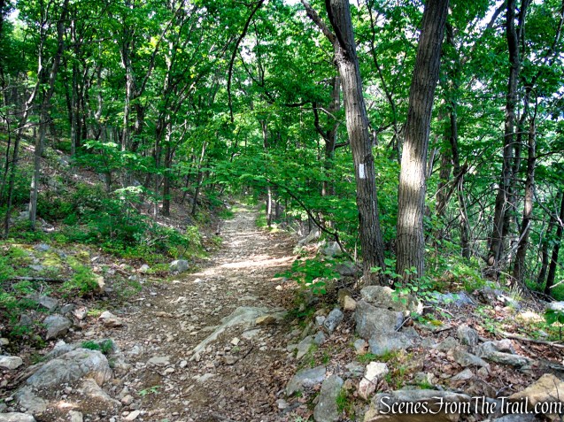 Appalachian Trail - Anthony’s Nose