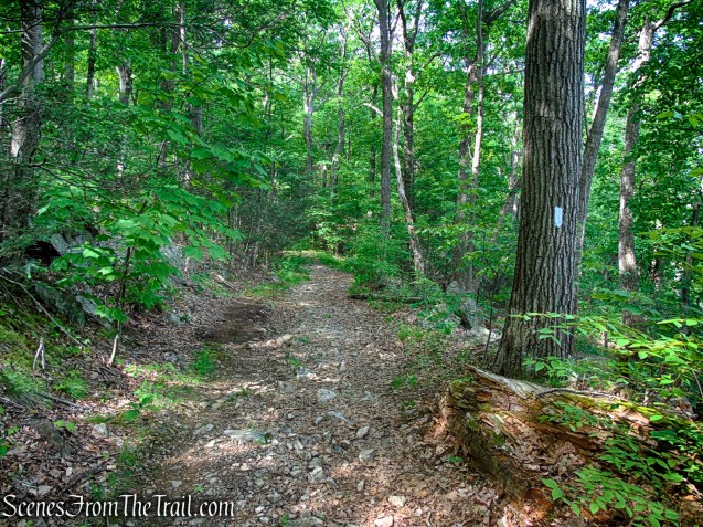 Appalachian Trail - Anthony’s Nose