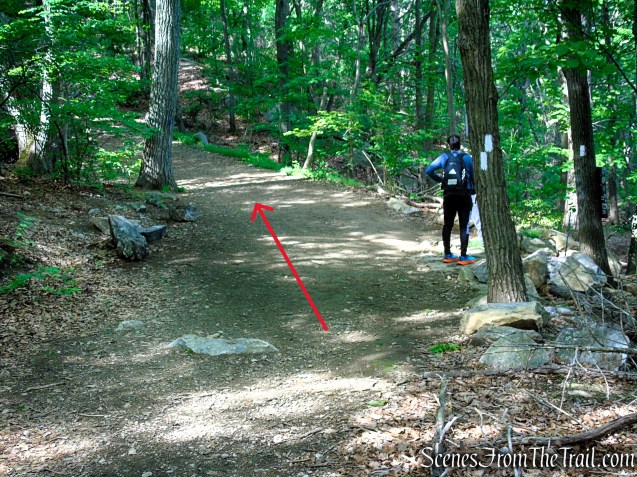 Continue straight to Camp Smith Trail