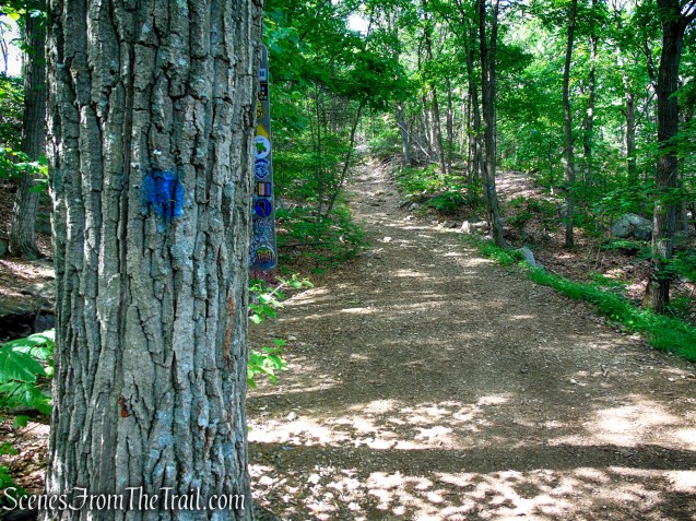 Camp Smith Trail - Anthony’s Nose