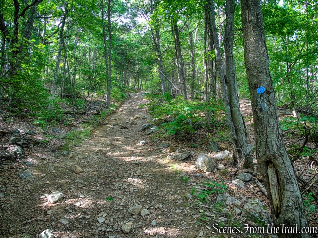 Camp Smith Trail - Anthony’s Nose