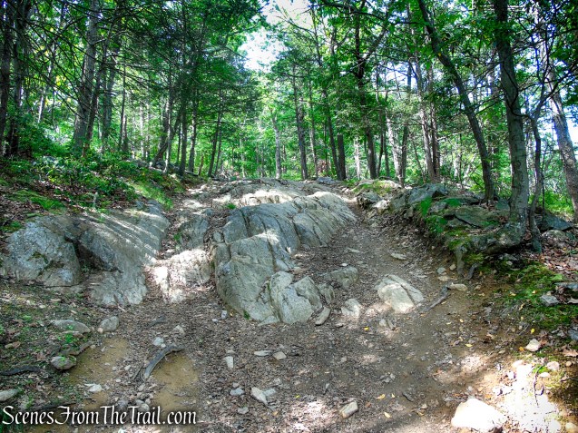 Camp Smith Trail - Anthony’s Nose