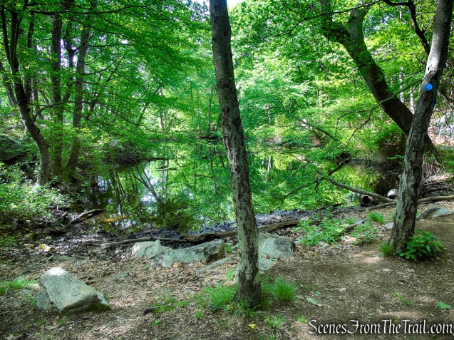 Camp Smith Trail - Anthony’s Nose