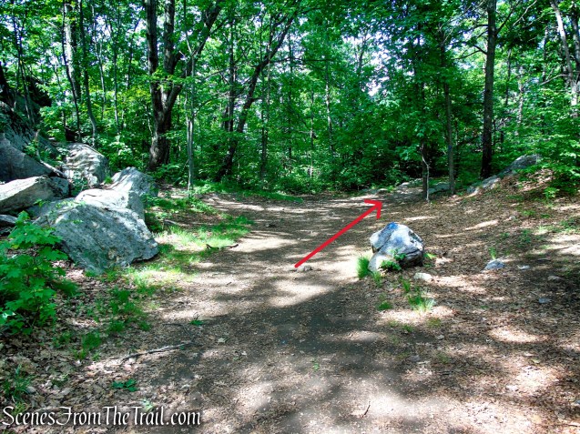 Camp Smith Trail - Anthony’s Nose
