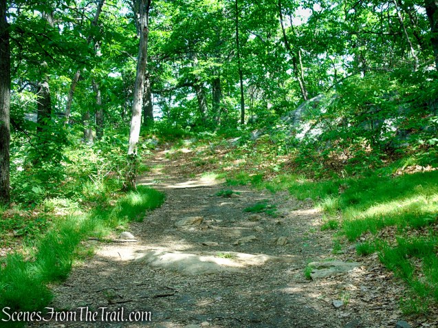 Anthony’s Nose - East Hudson Highlands