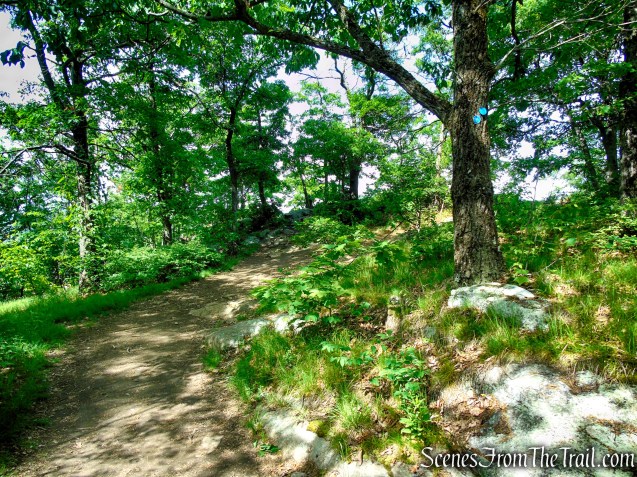 Anthony’s Nose – East Hudson Highlands