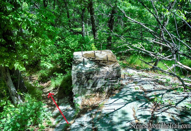 Unmarked trail - Anthony's Nose