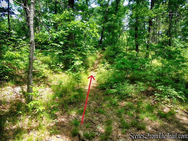Unmarked trail - Anthony's Nose