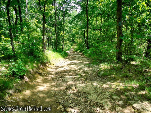 Camp Smith Trail - Anthony’s Nose