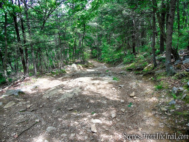 Camp Smith Trail - Anthony’s Nose