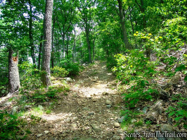 Appalachian Trail - Anthony’s Nose