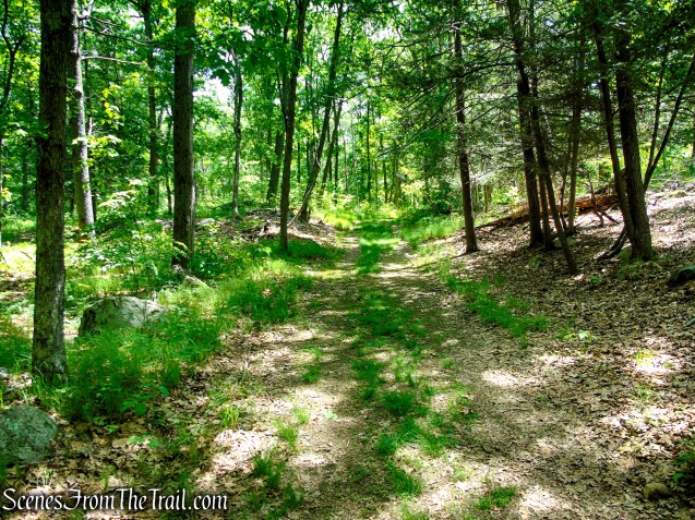 Military Road - Anthony’s Nose