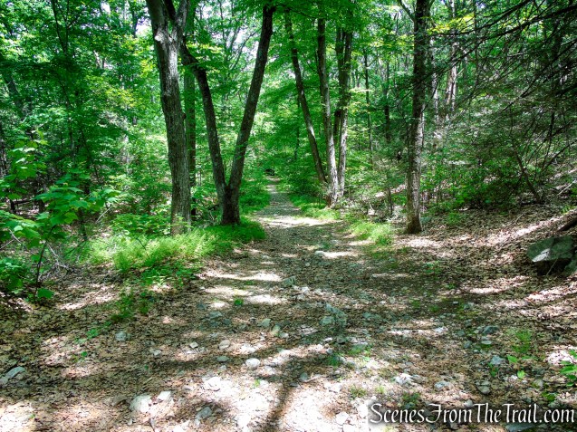 Military Road - Anthony’s Nose