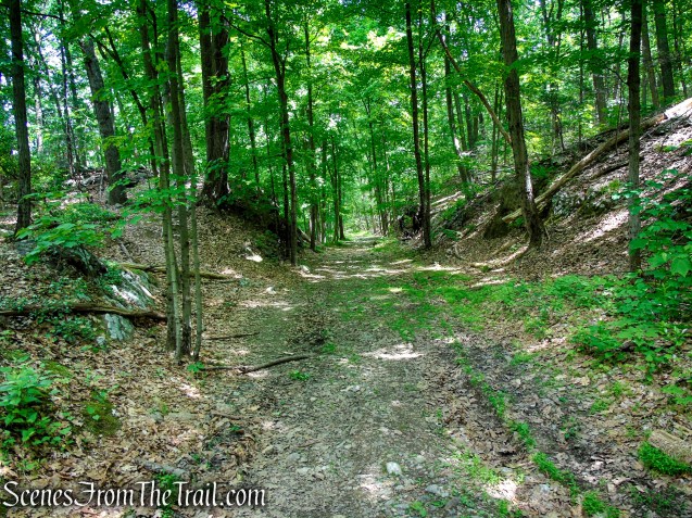 Military Road - Anthony’s Nose