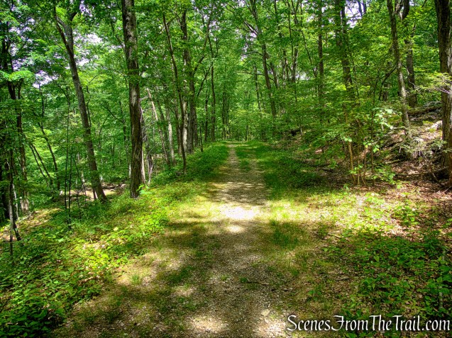 Military Road - Anthony’s Nose