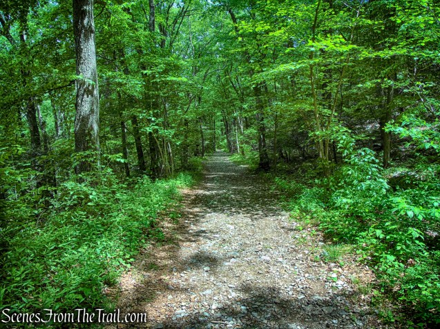 Appalachian Trail - Anthony’s Nose
