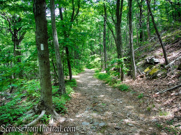 Appalachian Trail - Anthony’s Nose