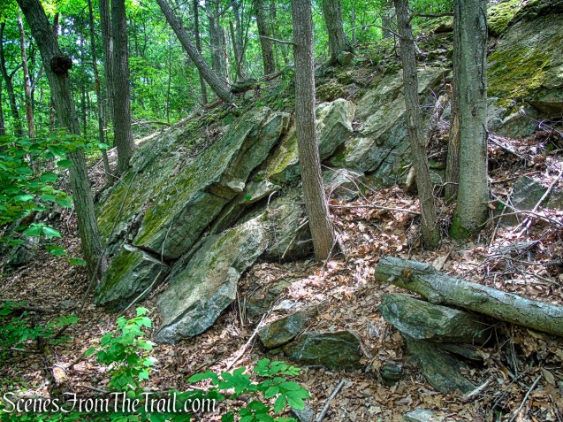 Appalachian Trail - Anthony’s Nose