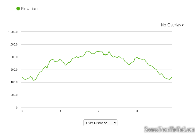 Elevation profile - Anthony’s Nose from South Mountain Pass