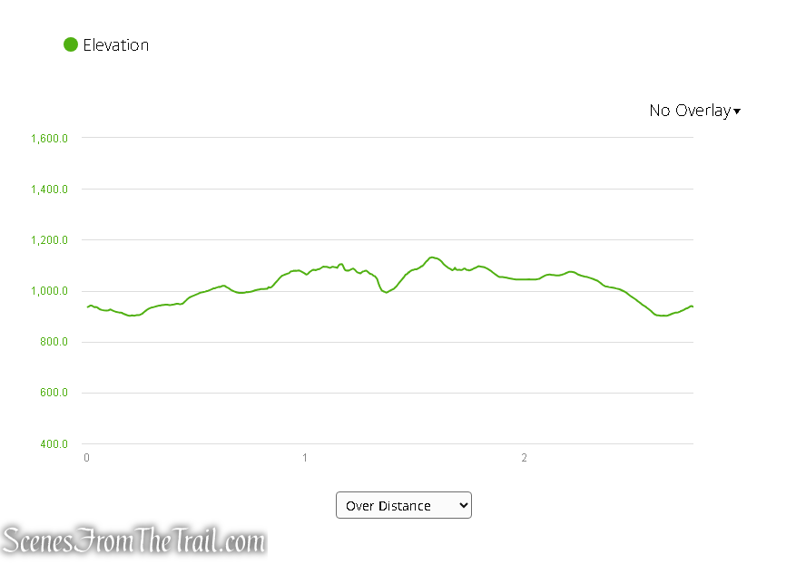 Elevation profile - Boston Mine Loop