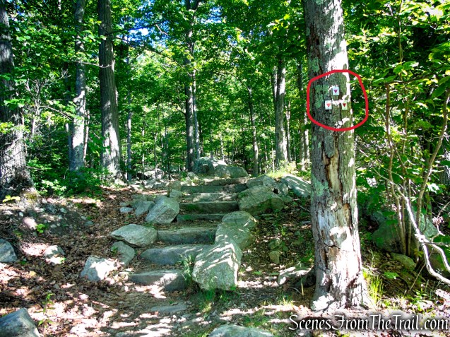 Arden-Surebridge Trailhead - Lake Skannatati