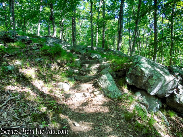Arden-Surebridge Trail - Pine Swamp Mountain