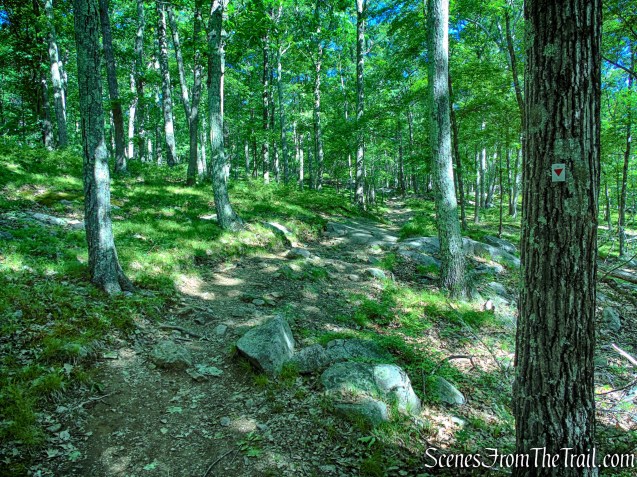 Arden-Surebridge Trail - Pine Swamp Mountain