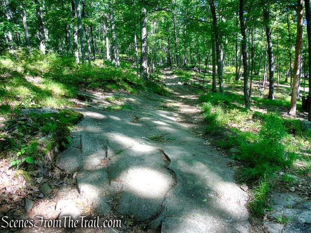 Arden-Surebridge Trail - Pine Swamp Mountain