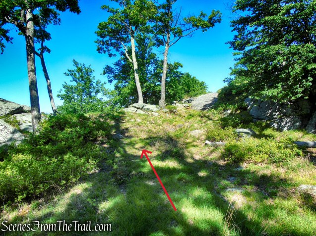Unmarked Trail - Pine Swamp Mountain