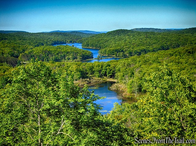 Viewpoint - Pine Swamp Mountain