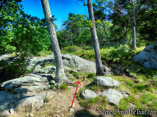 Unmarked Trail - Pine Swamp Mountain