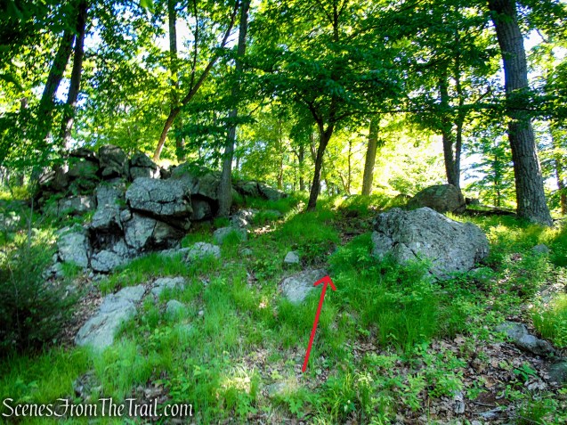 Unmarked Trail - Pine Swamp Mountain