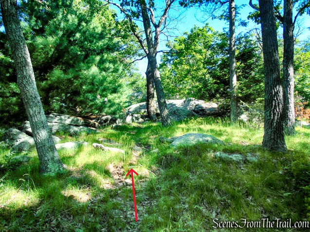 Unmarked Trail - Pine Swamp Mountain