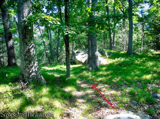 Unmarked Trail - Pine Swamp Mountain