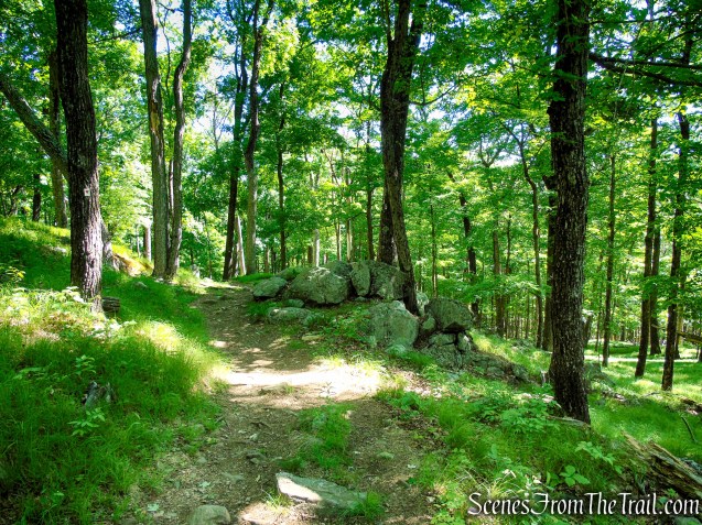 Arden-Surebridge Trail - Pine Swamp Mountain